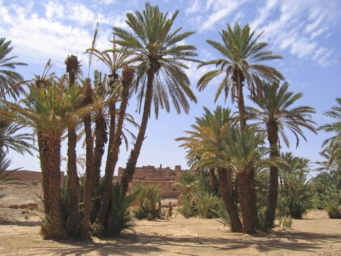 Відпочинок в Марокко в жовтні: відгуки туристів. Температура води і повітря в Марокко восени