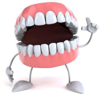 Як доглядати за знімними зубними протезами: інструкція, рекомендації та відгуки